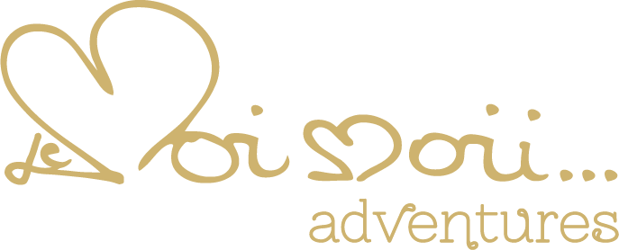 Logo Le Moi Moii Adventures
